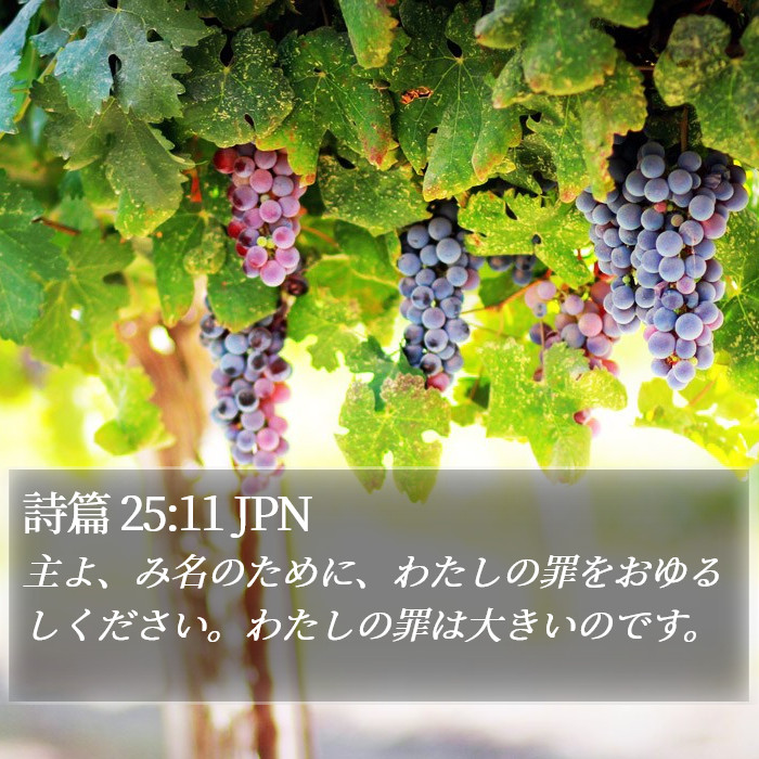 詩篇 25:11 JPN Bible Study