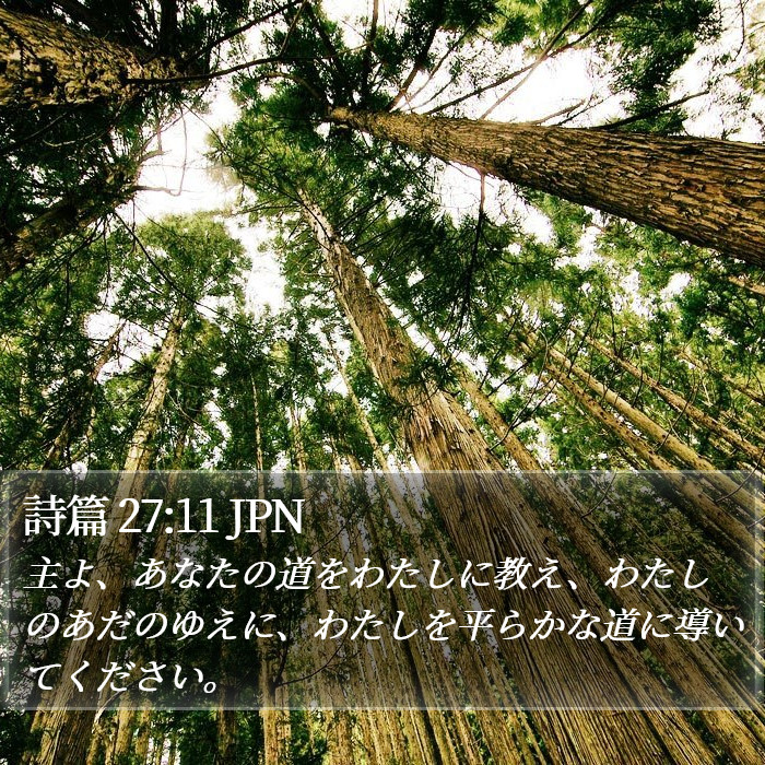 詩篇 27:11 JPN Bible Study