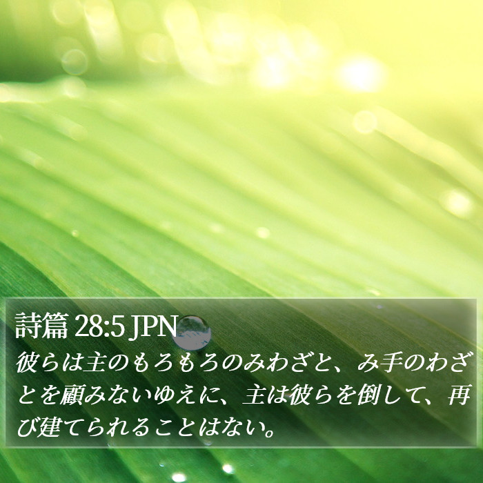 詩篇 28:5 JPN Bible Study
