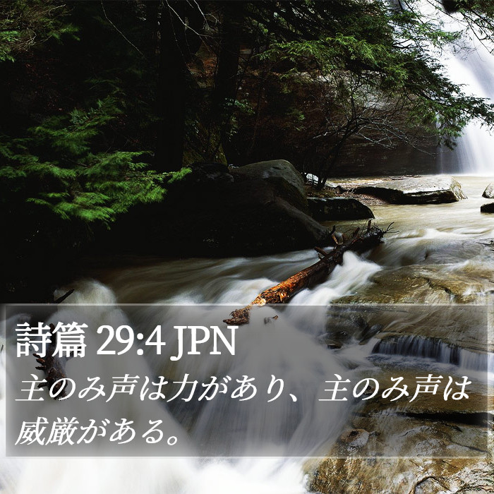 詩篇 29:4 JPN Bible Study