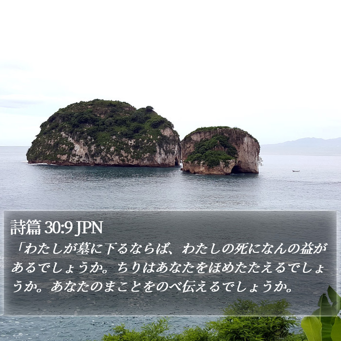 詩篇 30:9 JPN Bible Study