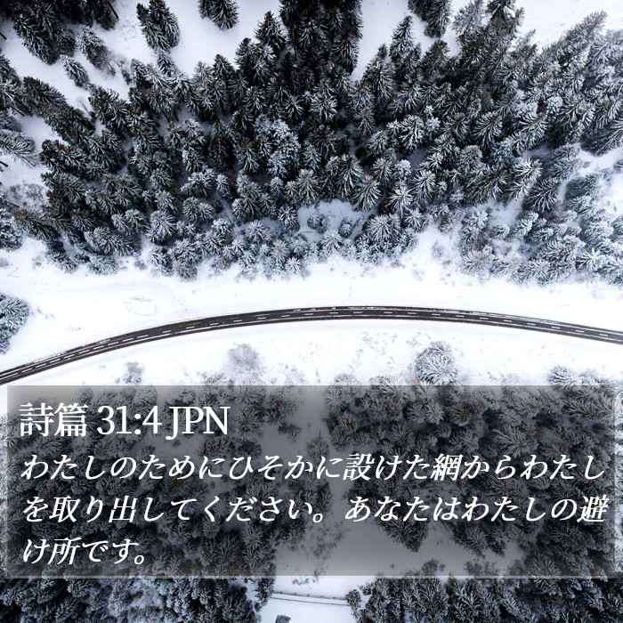 詩篇 31:4 JPN Bible Study