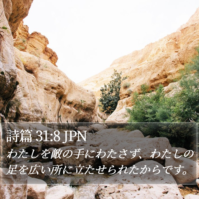 詩篇 31:8 JPN Bible Study