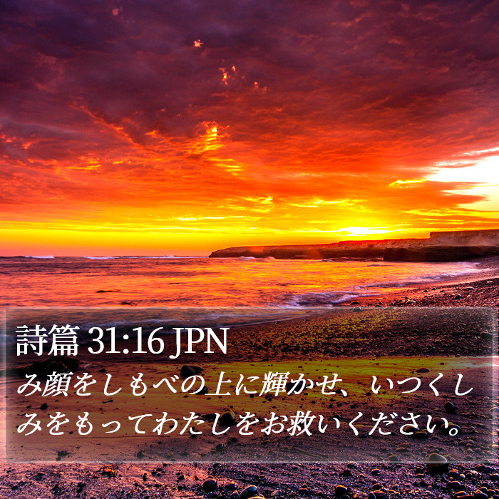 詩篇 31:16 JPN Bible Study