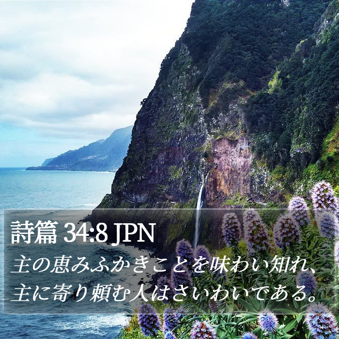詩篇 34:8 JPN Bible Study