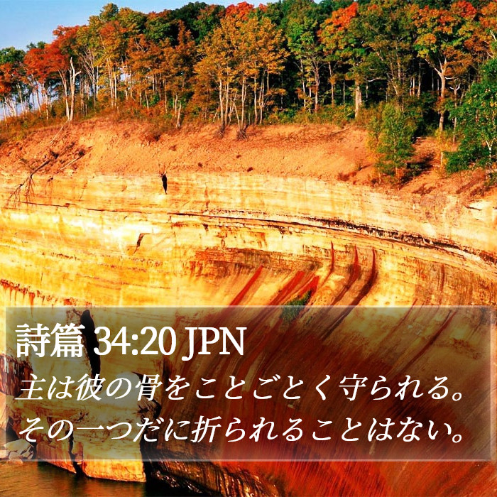 詩篇 34:20 JPN Bible Study