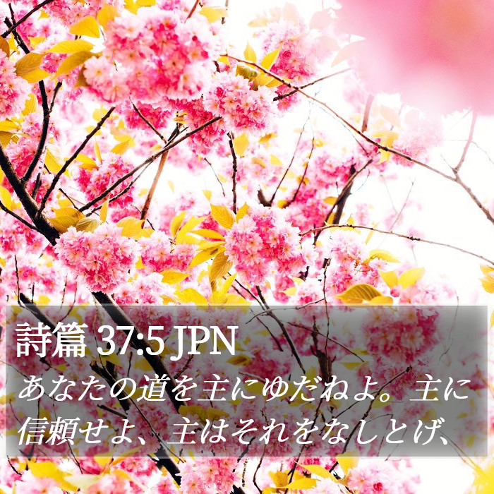 詩篇 37:5 JPN Bible Study