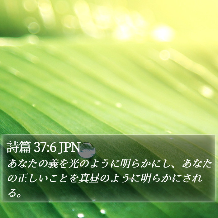 詩篇 37:6 JPN Bible Study