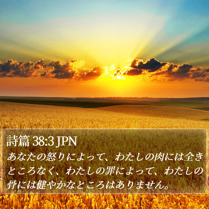 詩篇 38:3 JPN Bible Study