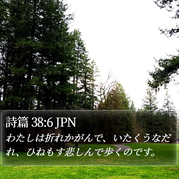 詩篇 38:6 JPN Bible Study