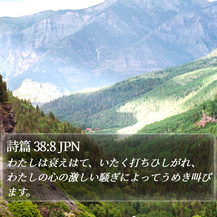 詩篇 38:8 JPN Bible Study