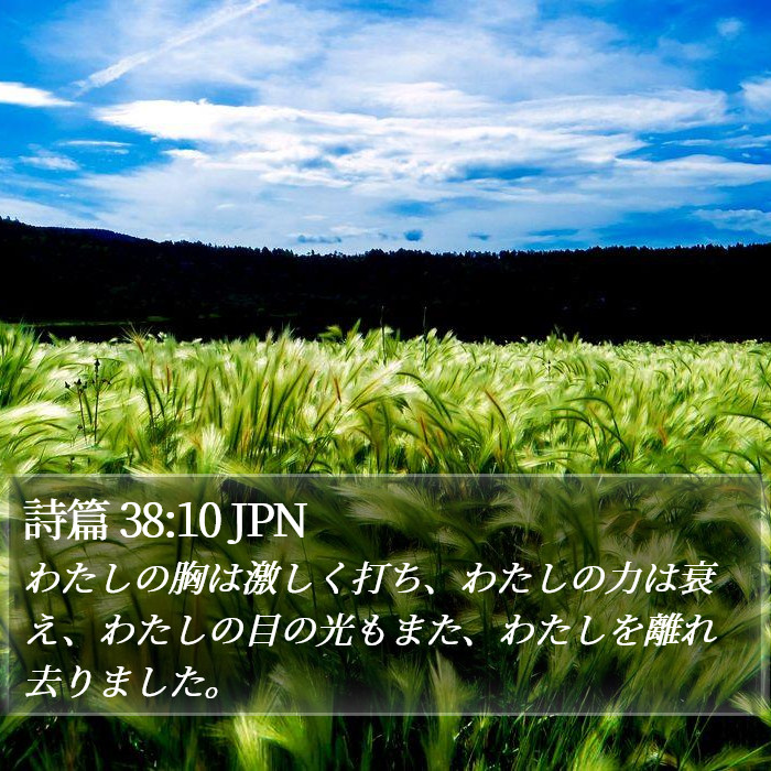 詩篇 38:10 JPN Bible Study