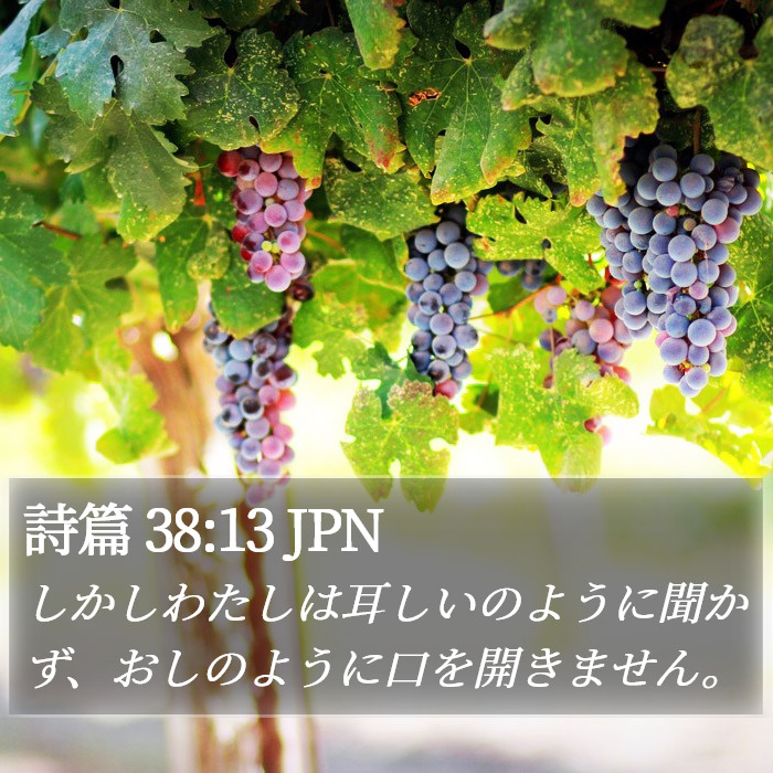 詩篇 38:13 JPN Bible Study
