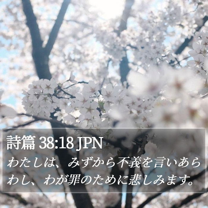 詩篇 38:18 JPN Bible Study