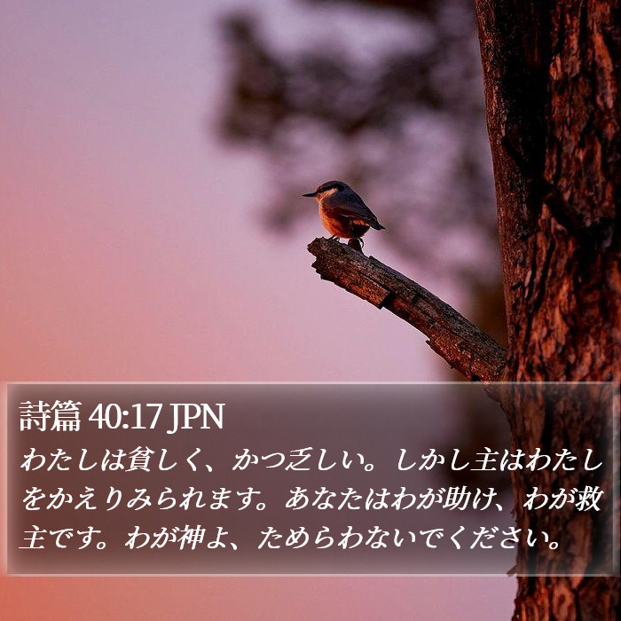 詩篇 40:17 JPN Bible Study