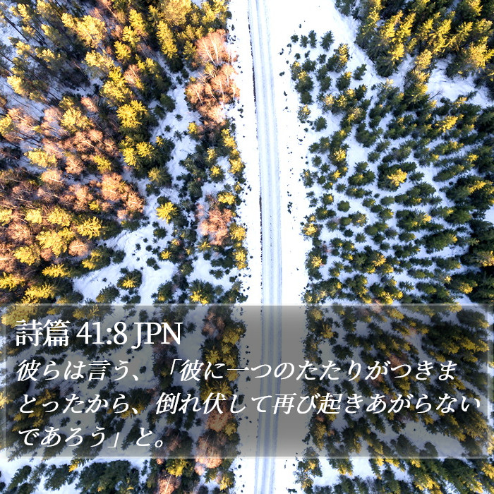 詩篇 41:8 JPN Bible Study