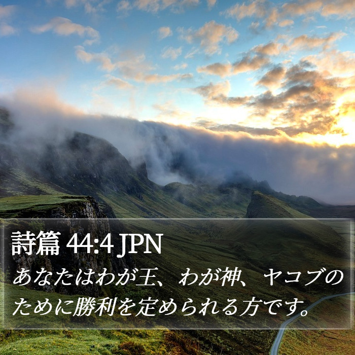 詩篇 44:4 JPN Bible Study