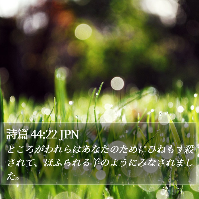 詩篇 44:22 JPN Bible Study