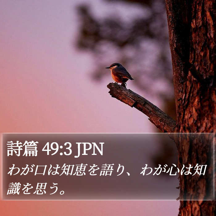 詩篇 49:3 JPN Bible Study