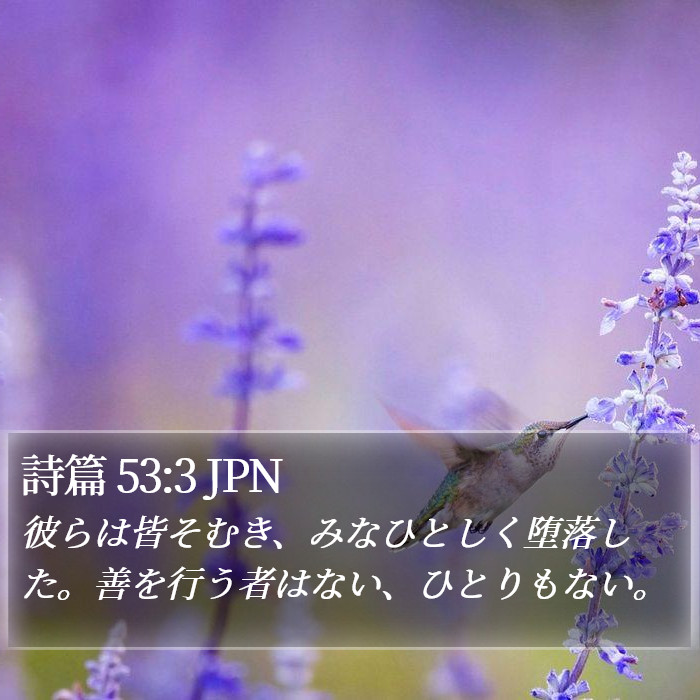 詩篇 53:3 JPN Bible Study