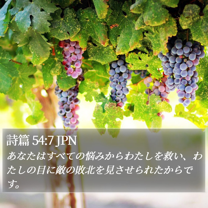 詩篇 54:7 JPN Bible Study