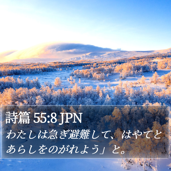 詩篇 55:8 JPN Bible Study