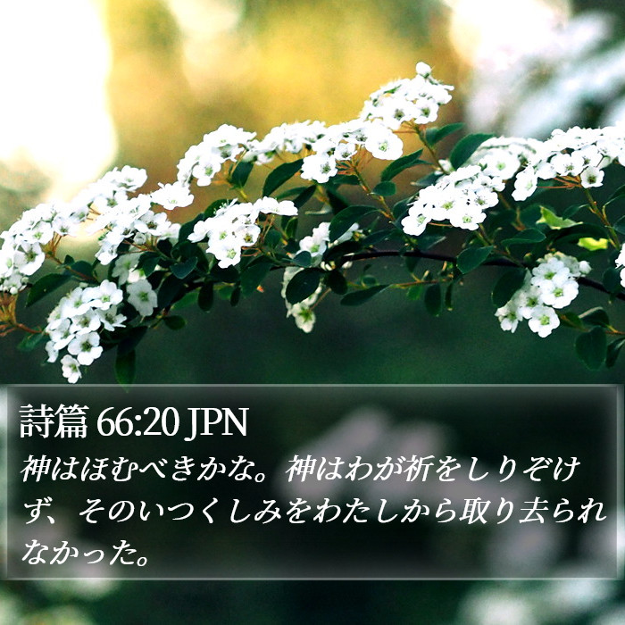 詩篇 66:20 JPN Bible Study