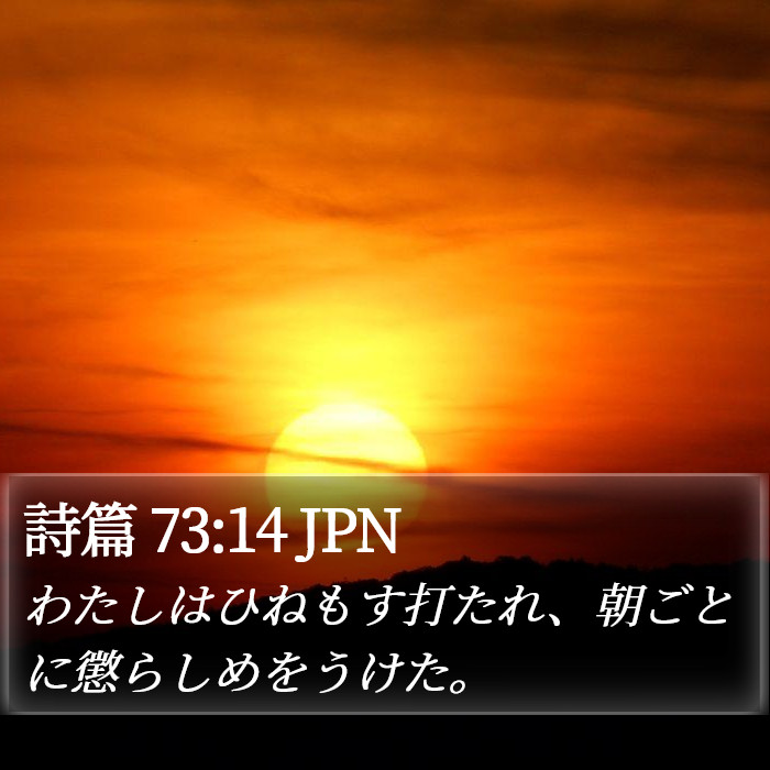 詩篇 73:14 JPN Bible Study