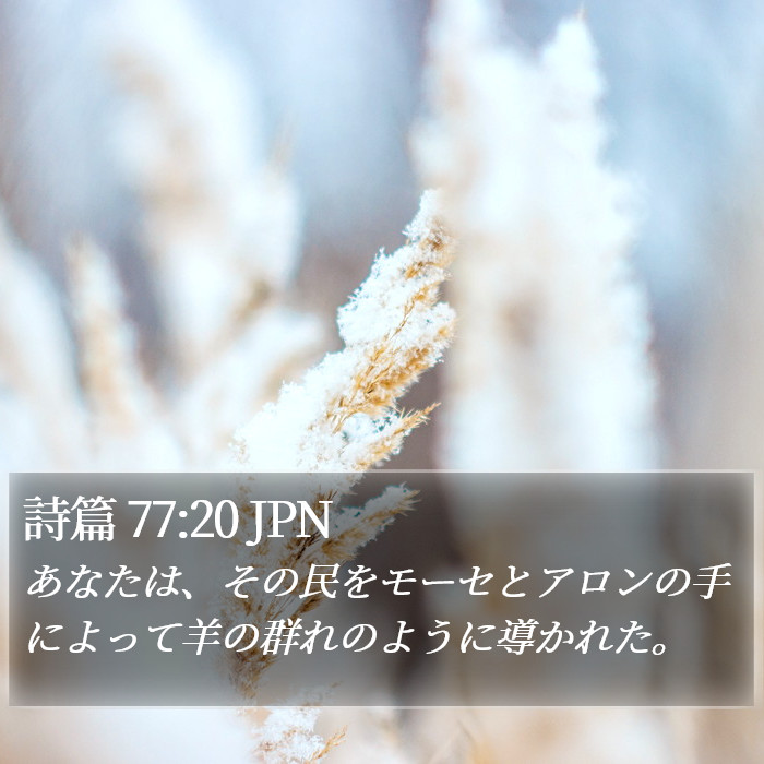 詩篇 77:20 JPN Bible Study