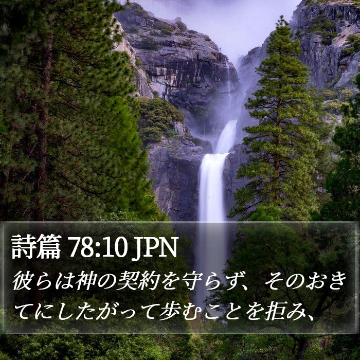 詩篇 78:10 JPN Bible Study