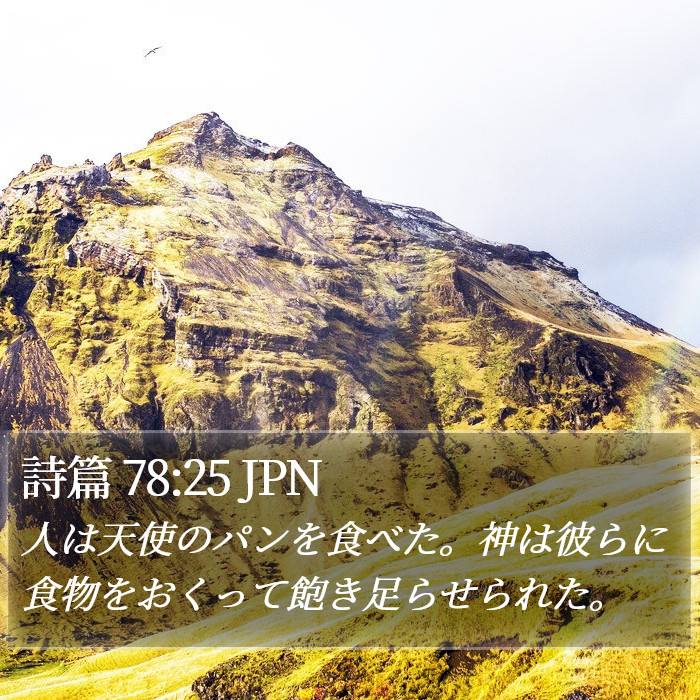 詩篇 78:25 JPN Bible Study