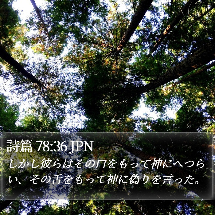 詩篇 78:36 JPN Bible Study