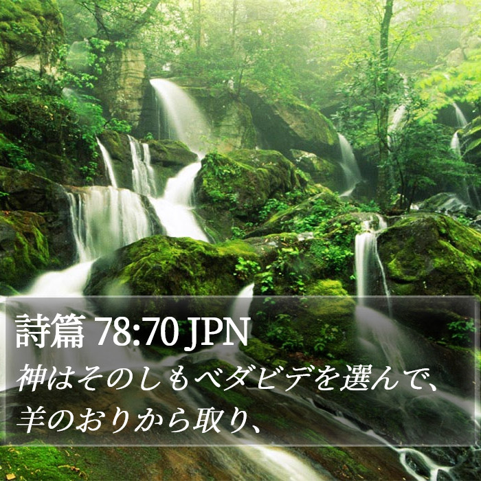 詩篇 78:70 JPN Bible Study