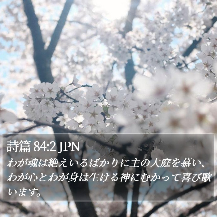 詩篇 84:2 JPN Bible Study