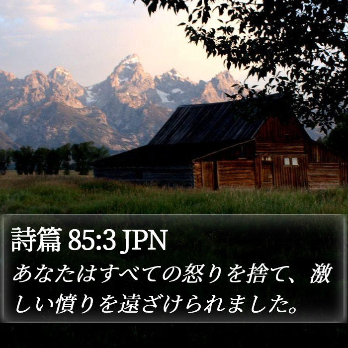 詩篇 85:3 JPN Bible Study