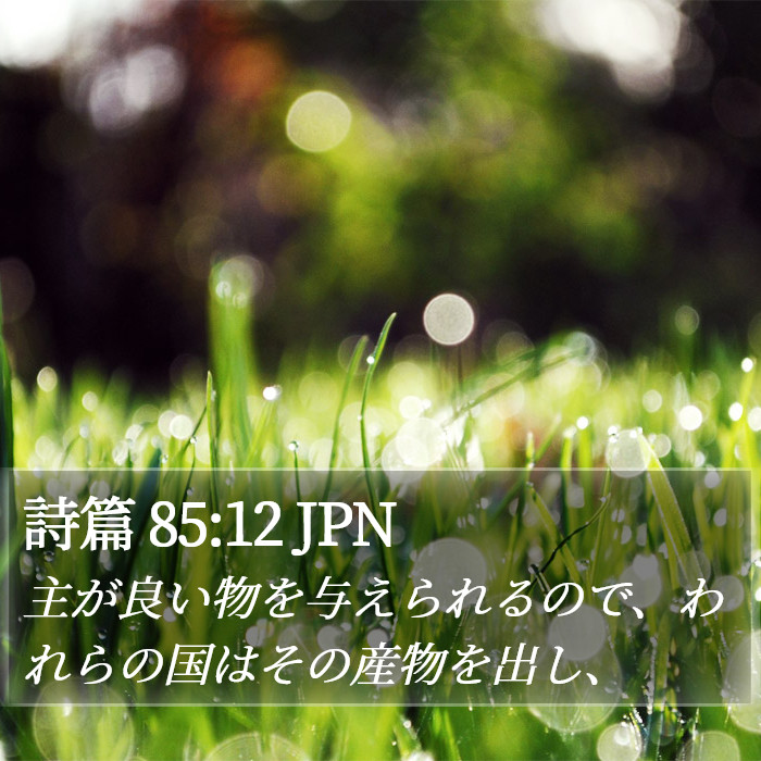 詩篇 85:12 JPN Bible Study