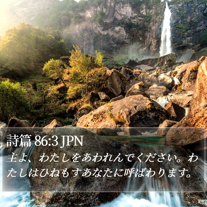 詩篇 86:3 JPN Bible Study