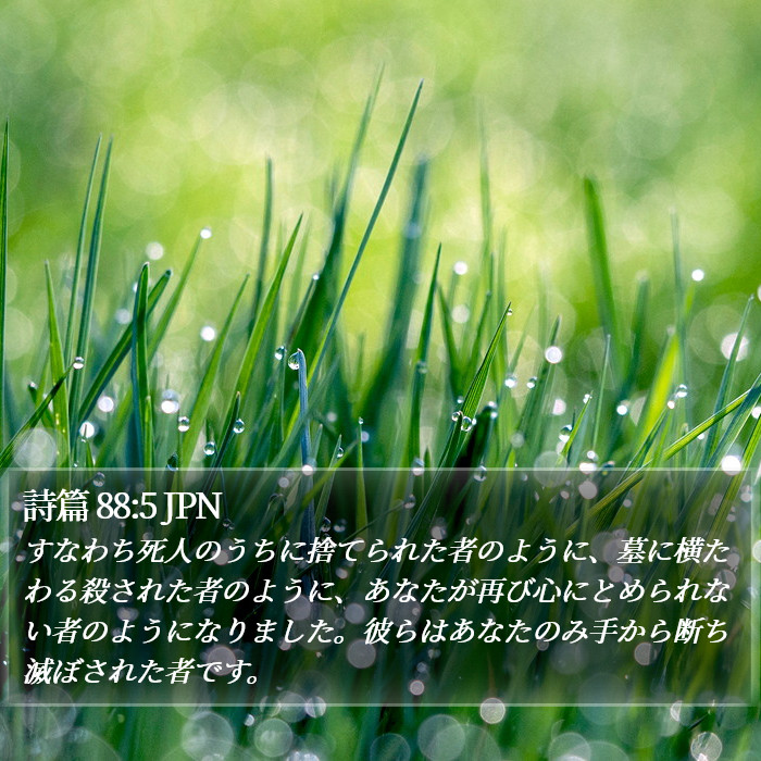 詩篇 88:5 JPN Bible Study