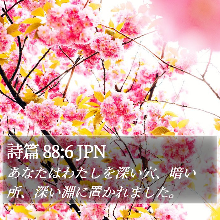 詩篇 88:6 JPN Bible Study