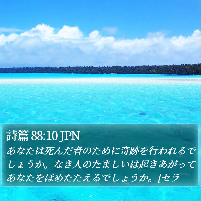 詩篇 88:10 JPN Bible Study