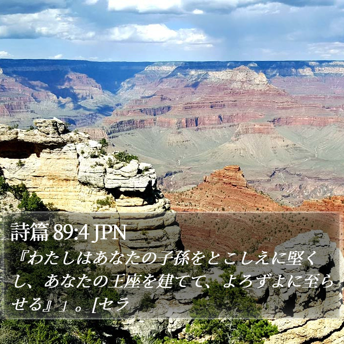 詩篇 89:4 JPN Bible Study