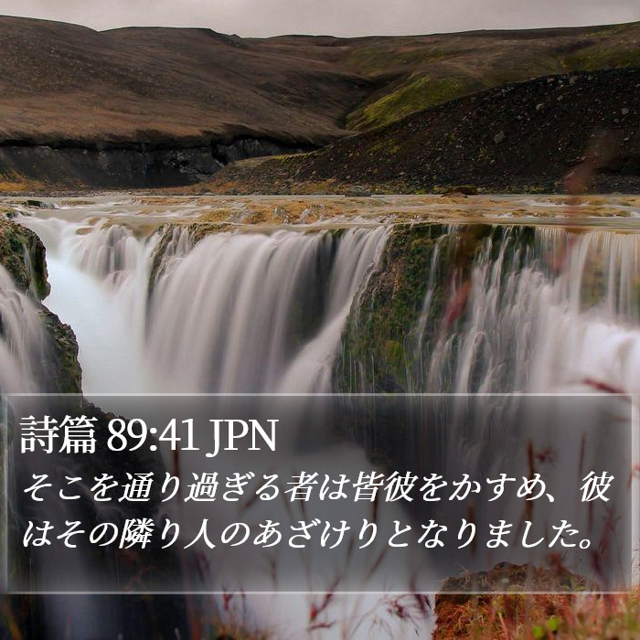 詩篇 89:41 JPN Bible Study