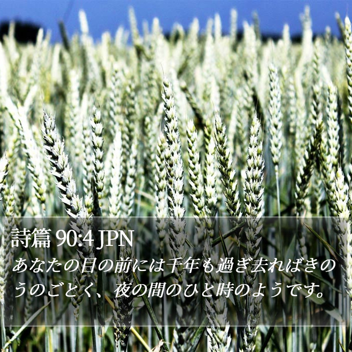 詩篇 90:4 JPN Bible Study