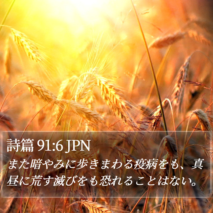 詩篇 91:6 JPN Bible Study