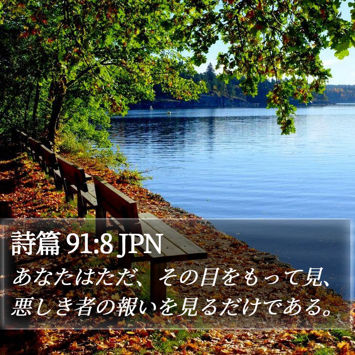 詩篇 91:8 JPN Bible Study