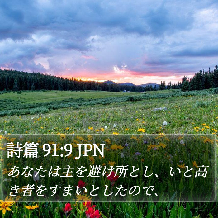 詩篇 91:9 JPN Bible Study