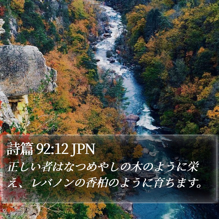 詩篇 92:12 JPN Bible Study