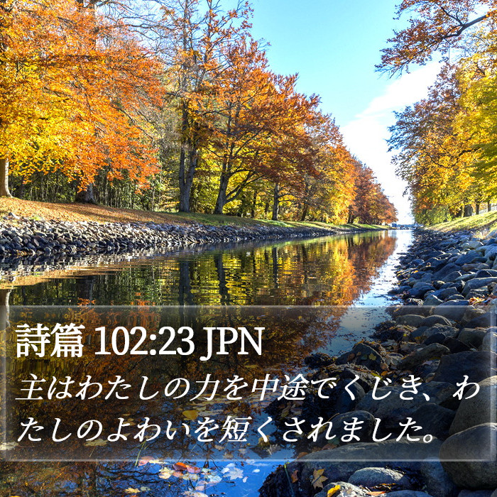 詩篇 102:23 JPN Bible Study