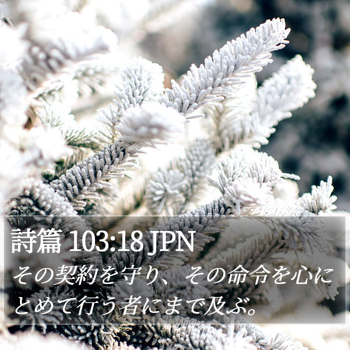 詩篇 103:18 JPN Bible Study