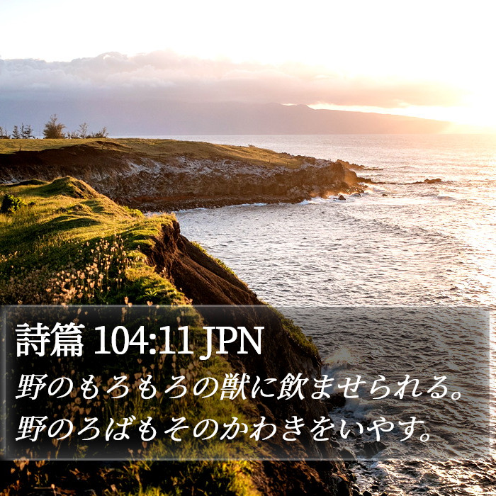 詩篇 104:11 JPN Bible Study